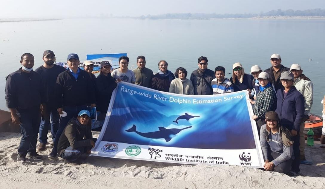 15 dolphins seen within 30 km