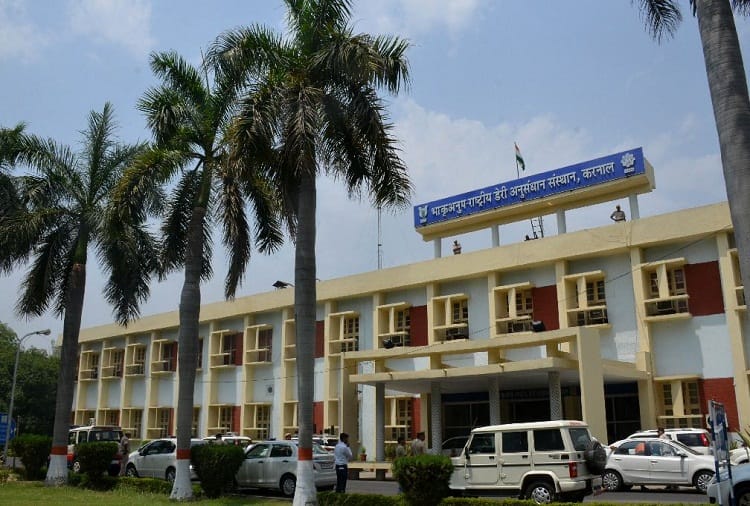 NDRI got the first rank in the country for the fifth time in agricultural universities