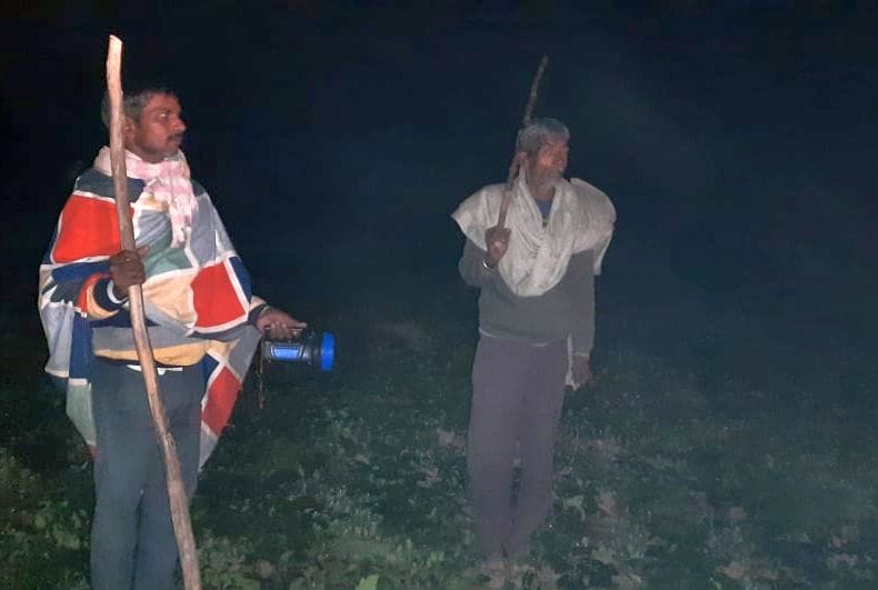 farmers night in field due to cattle problem