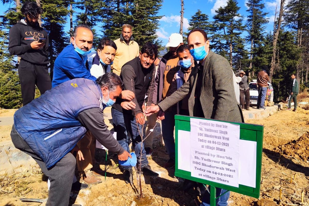 plantation drive