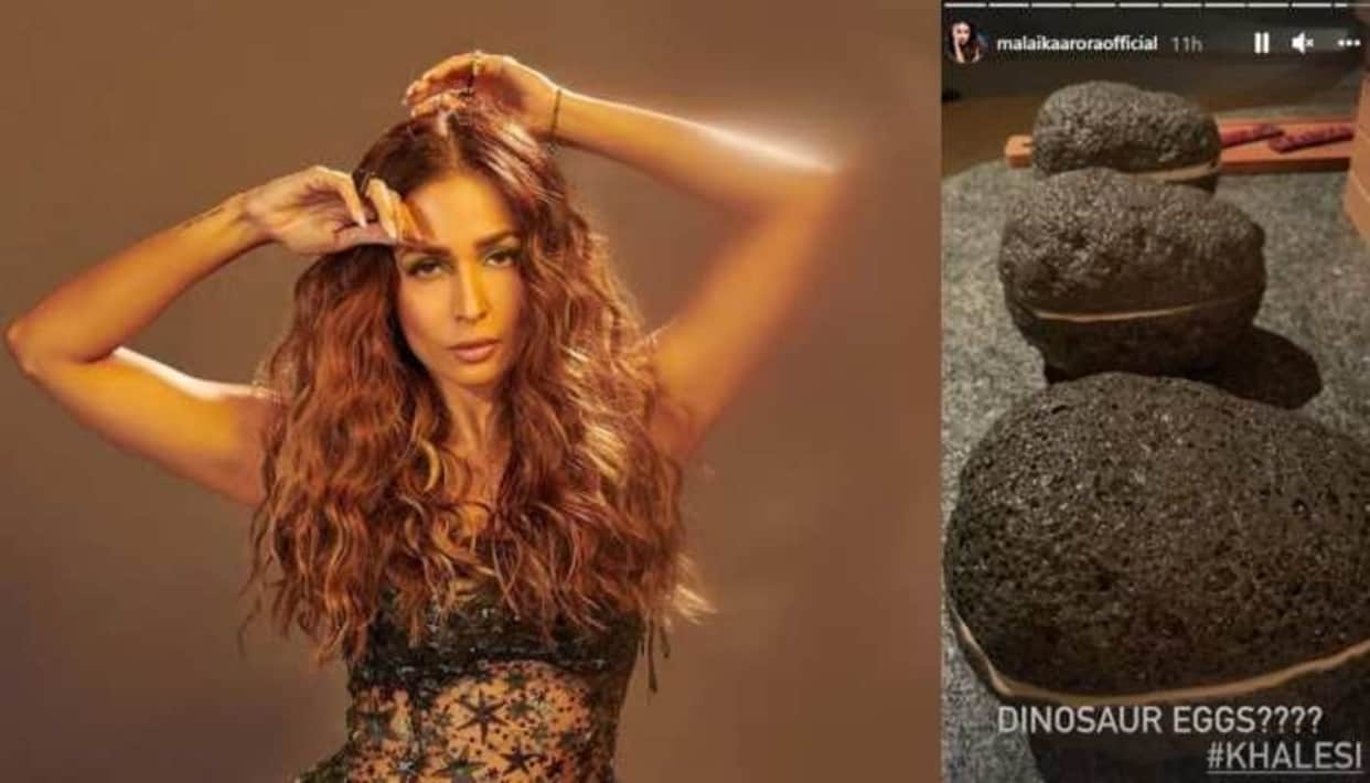 Social Media: Malaika Arora spotted dinosaur eggs in Maldives? Fans asked this question
