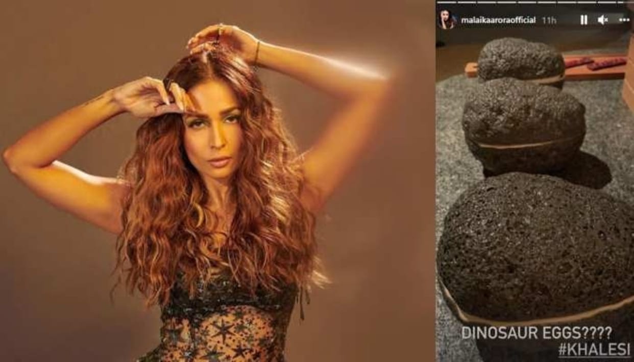 Social Media: Malaika Arora spotted dinosaur eggs in Maldives? Fans asked this question