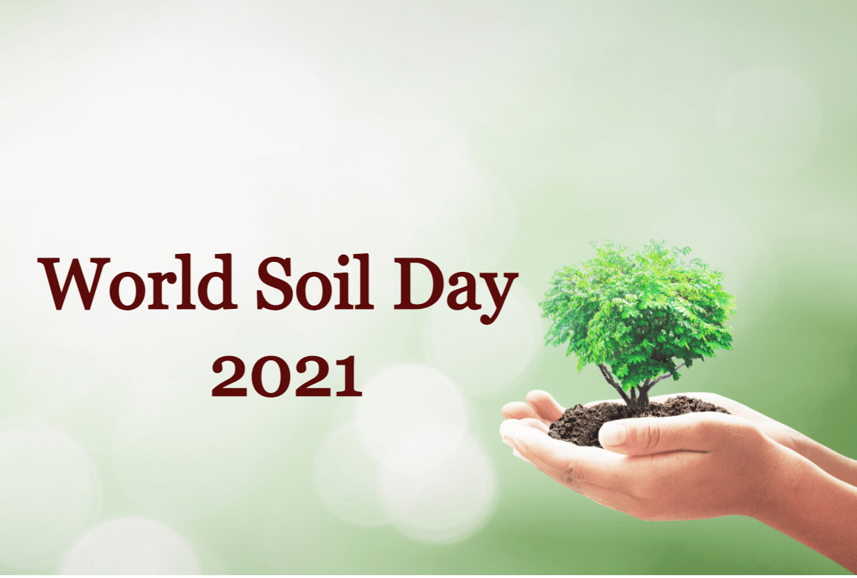 world soil day 2021 theme history and significance