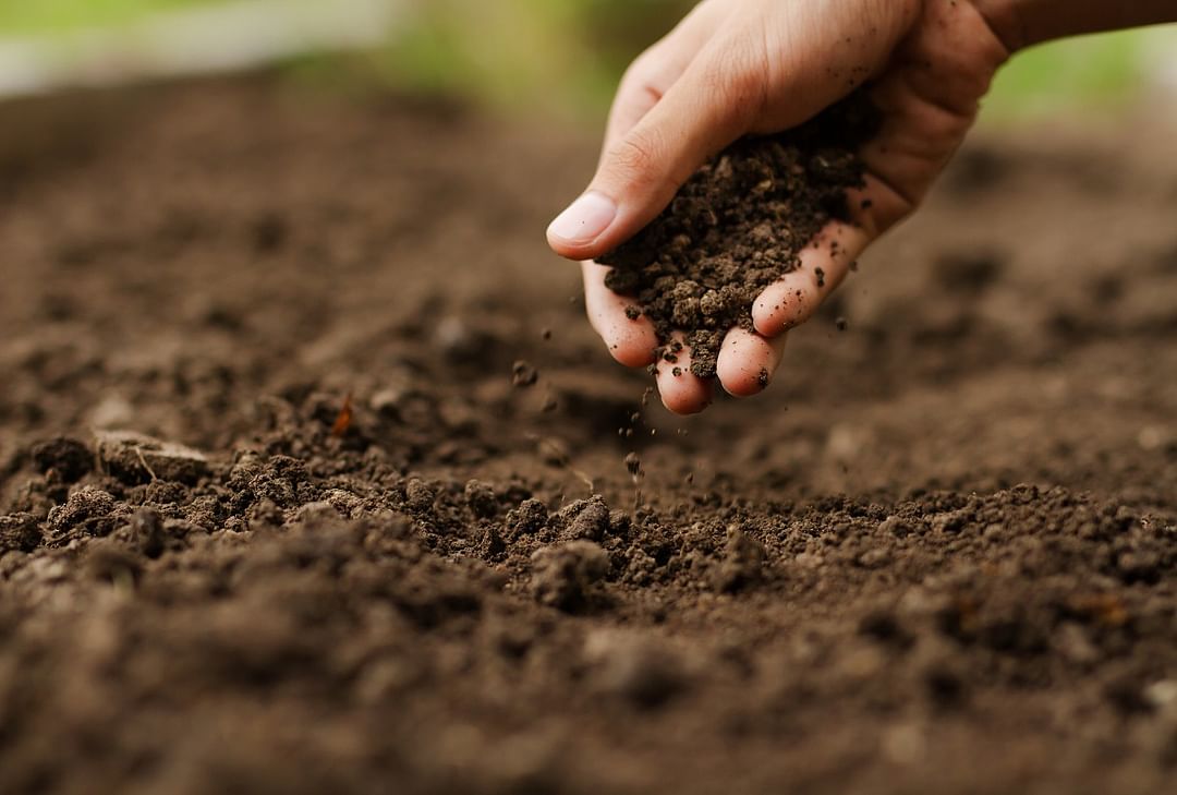 Soil ability to absorb water may decrease due to Climate Change