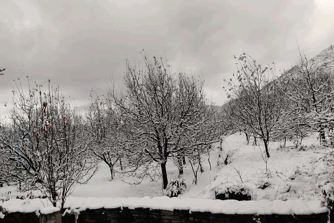 snowfall in rampur hogh hills