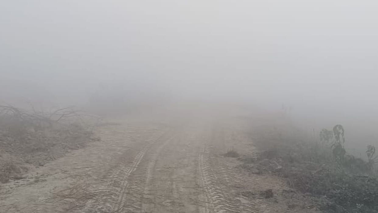 Fog covered the district, drizzle increased winter