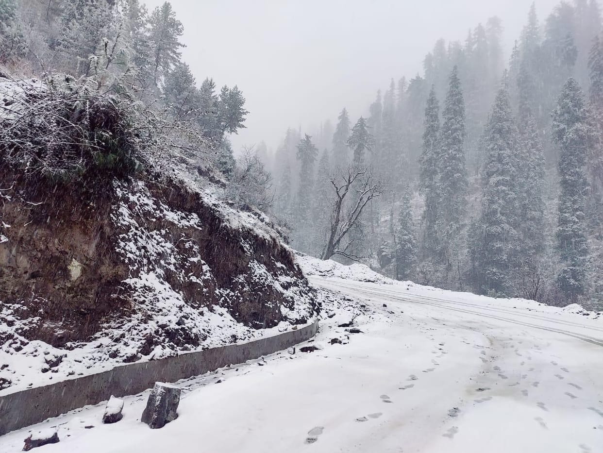 Bus stuck in Janjehli due to snowfall, five roads closed
