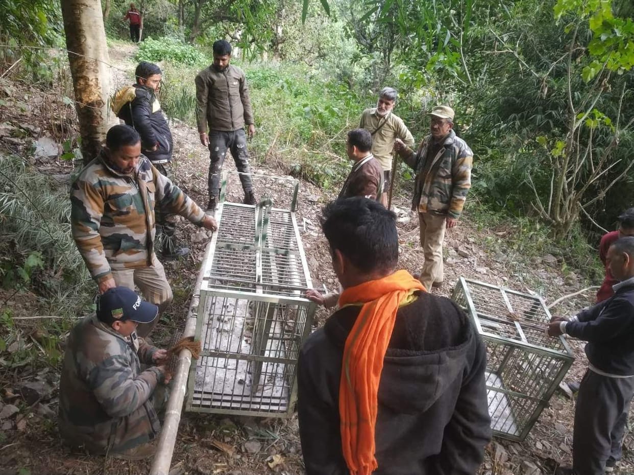 School children and villagers moving under the guard of forest workers