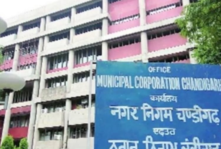 17 Young Candidates Files Nomination in Chandigarh Municipal Election