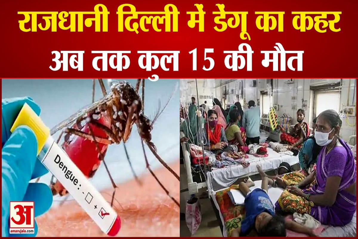 दिल्ली में डेंगू