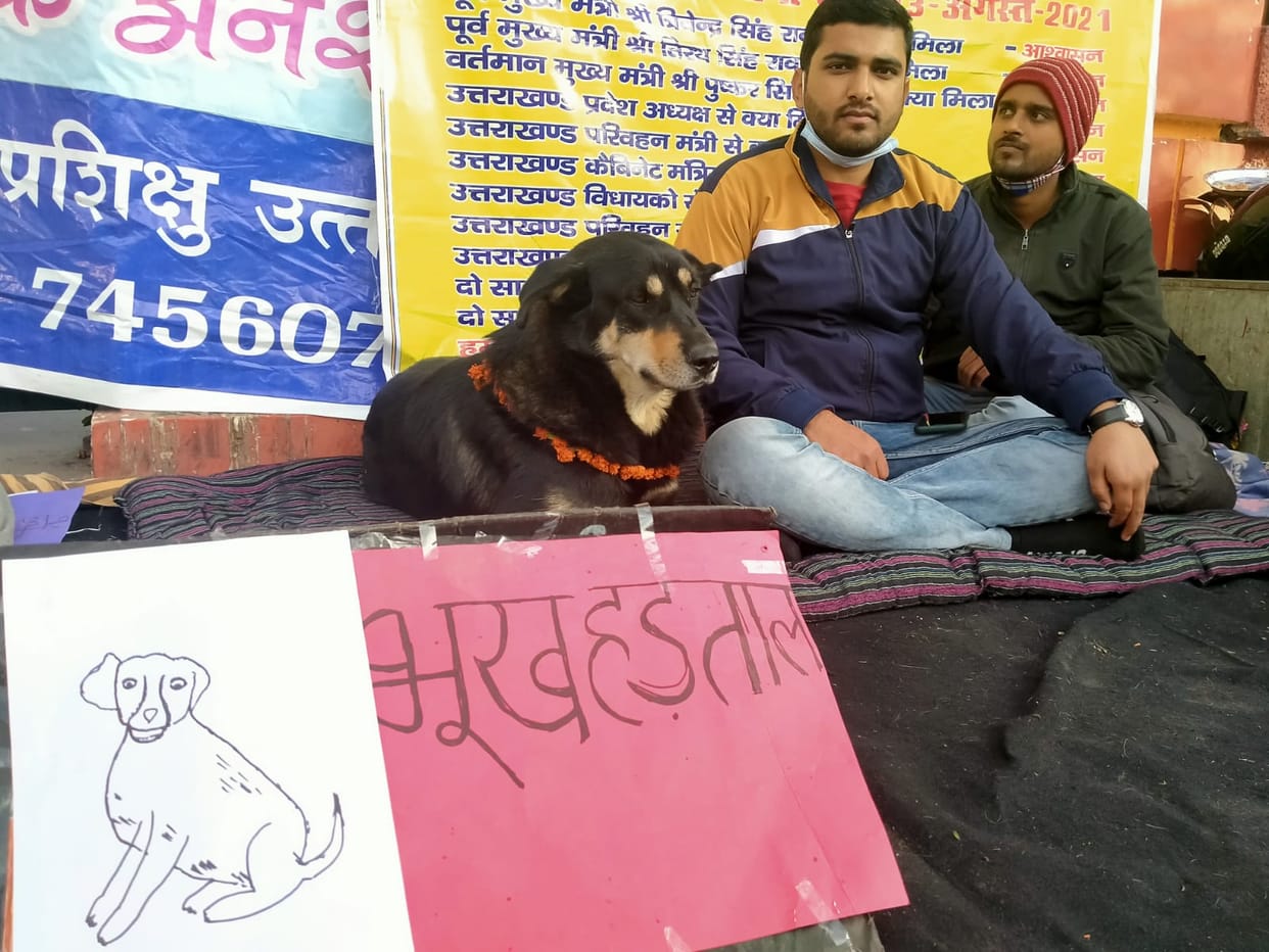 uttarakhand news: a street dog sit on dharna with youth in dehradun, see photos