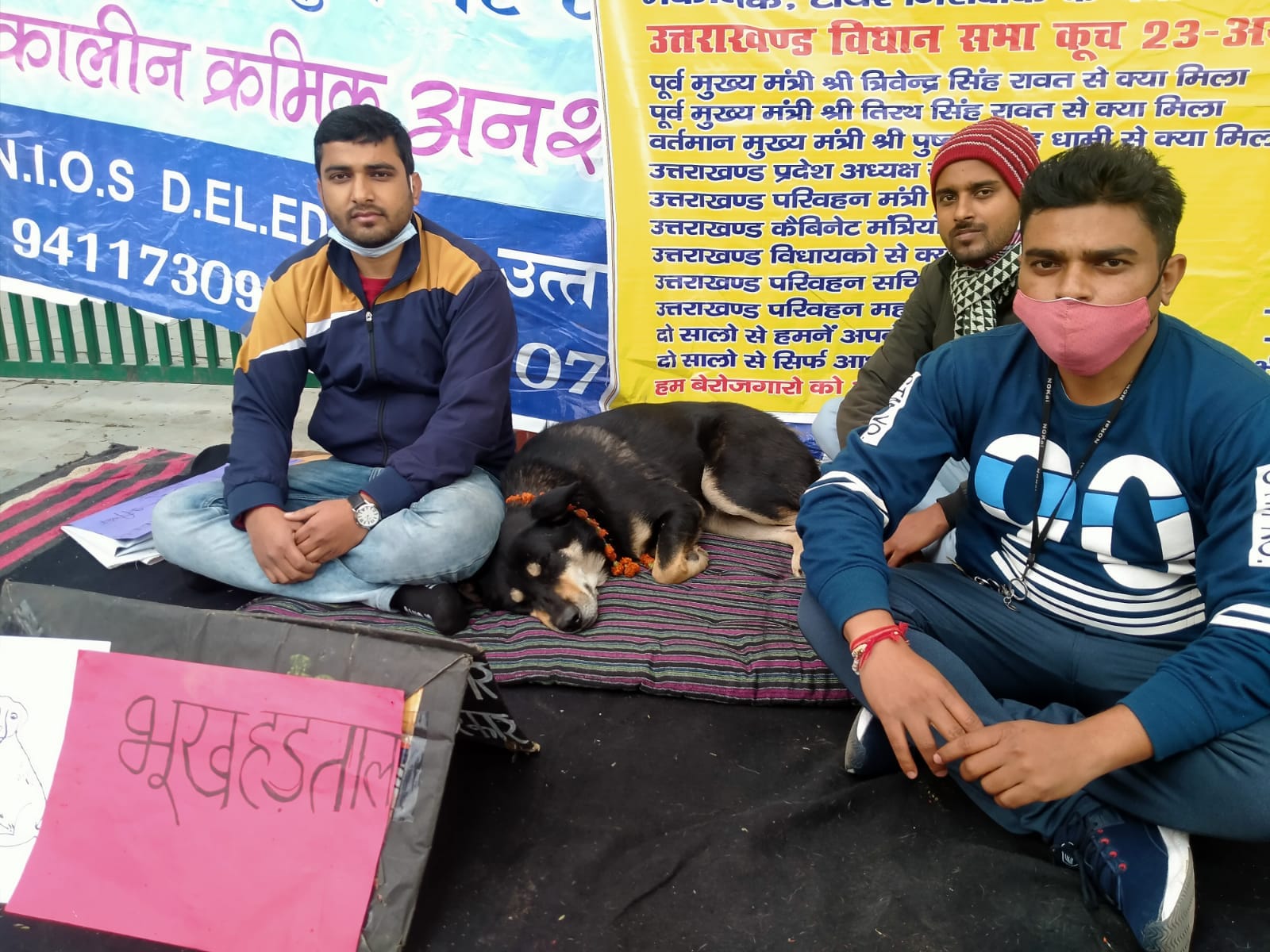 uttarakhand news: a street dog sit on dharna with youth in dehradun, see photos