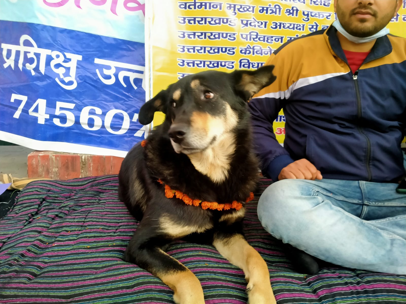 uttarakhand news: a street dog sit on dharna with youth in dehradun, see photos