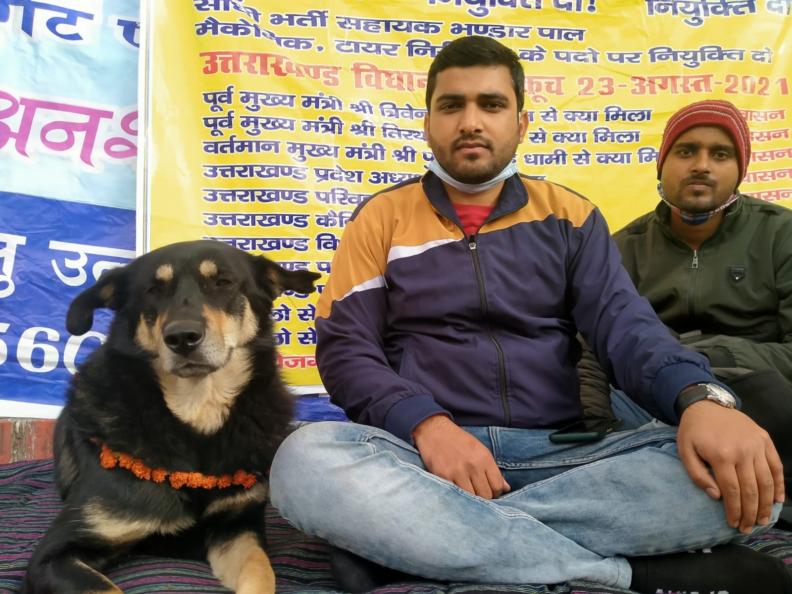 uttarakhand news: a street dog sit on dharna with youth in dehradun, see photos