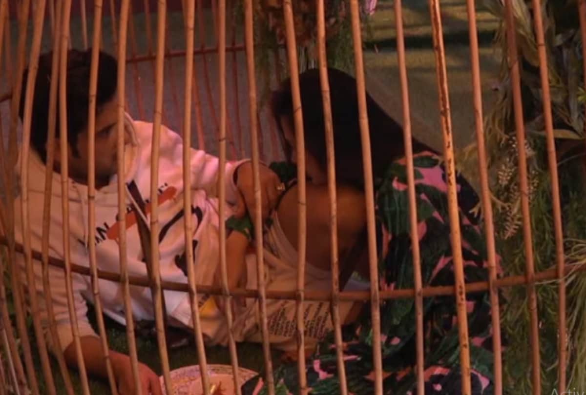 Bigg Boss 15 Karan Kundrra asked tejaswi prakash Do I like you actress gave this answer while kissing