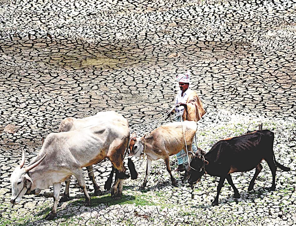 307 beneficiaries of Chief Minister Farmer Accident Insurance Scheme entangled in verification