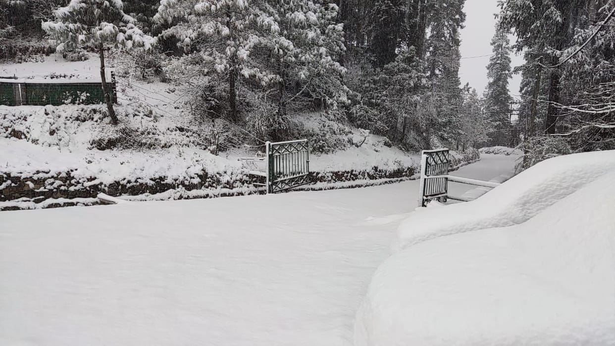 snowfall in kufri