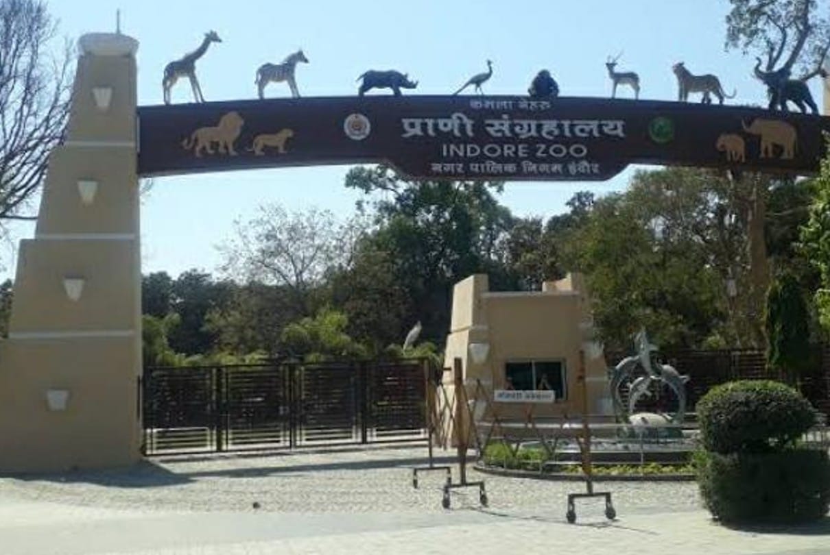 Indore: Forest Minister said that the picture seen in the camera is of leopard, I will review the matter on December 11