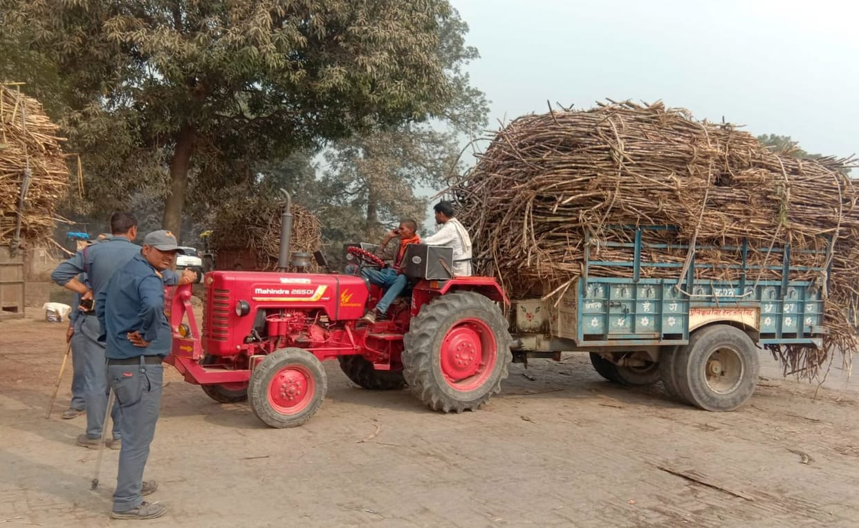 suger mill return farmers by saying  dry  suger cane
