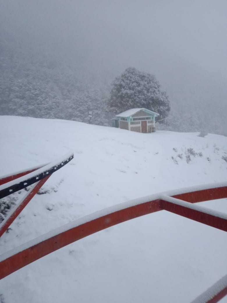 uttarakhand weather update: first snowfall in auli and many higher peaks including chardham see photos