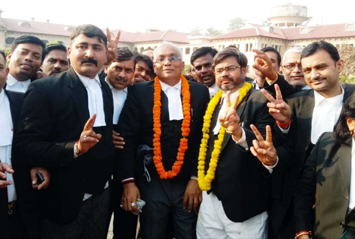 Allahabad high court bar association election radhakant sd singh elected