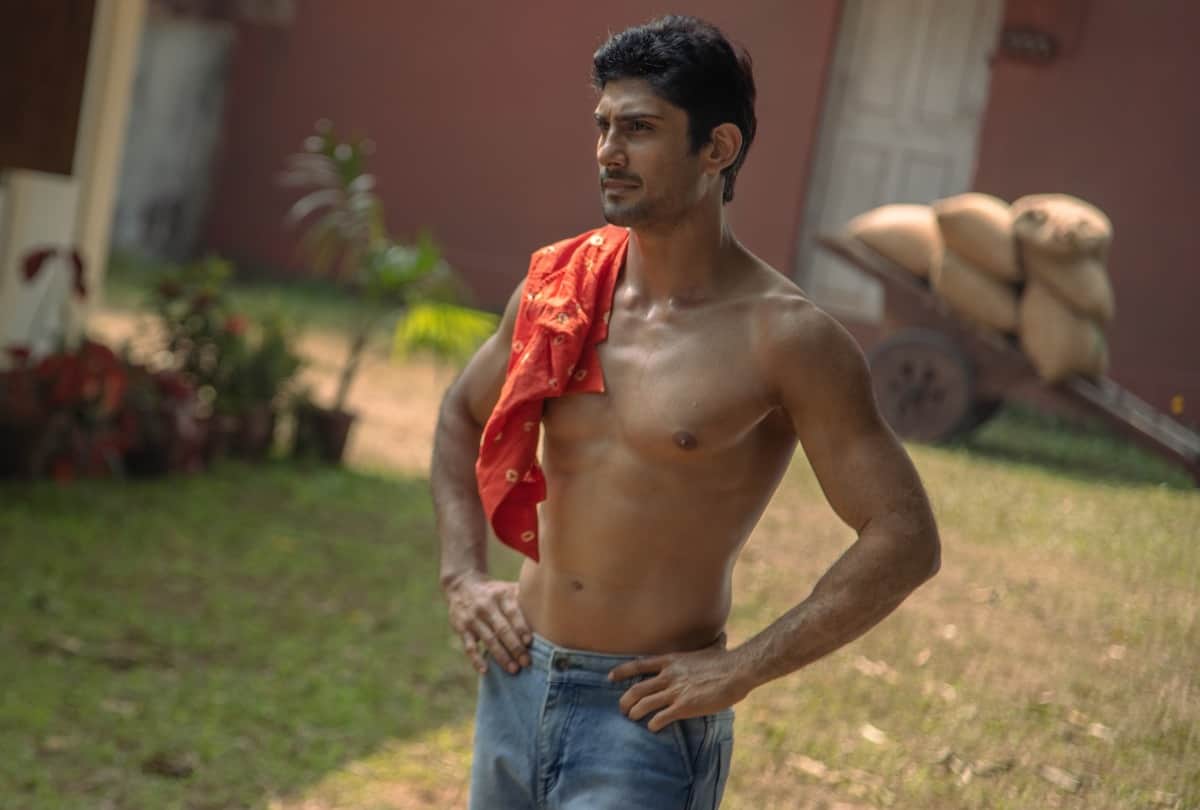 Prateik Babbar Cobalt Blue gets postponed which is release on Netflix India