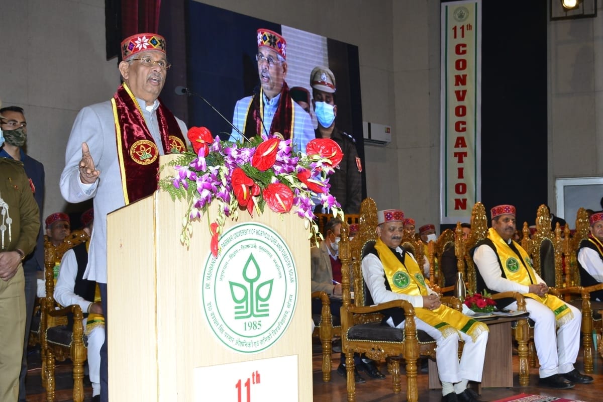 Degree holders should also become employment providers: Governor