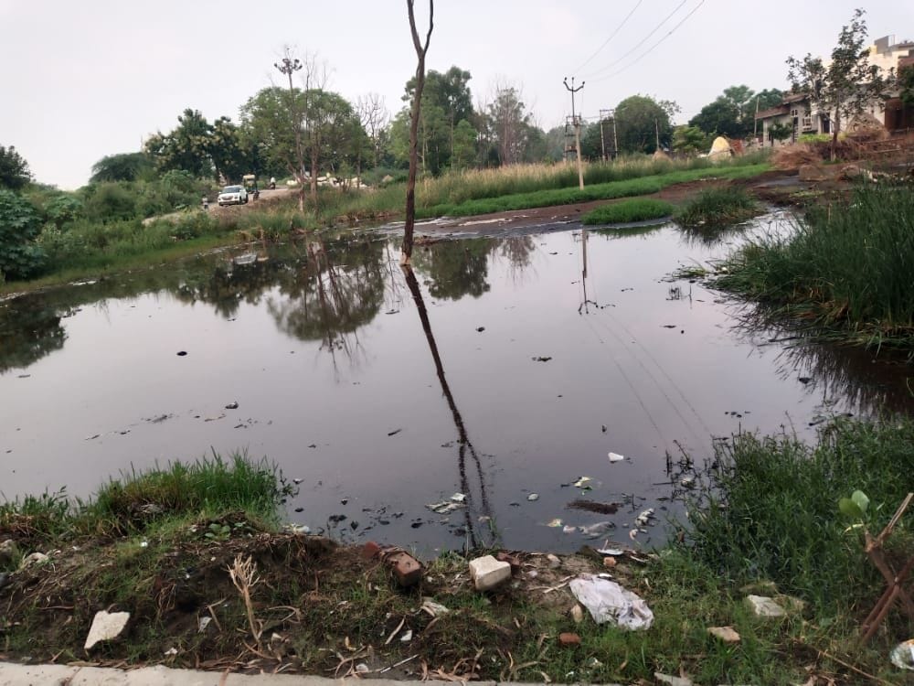 master plan improved the situation of ward 22