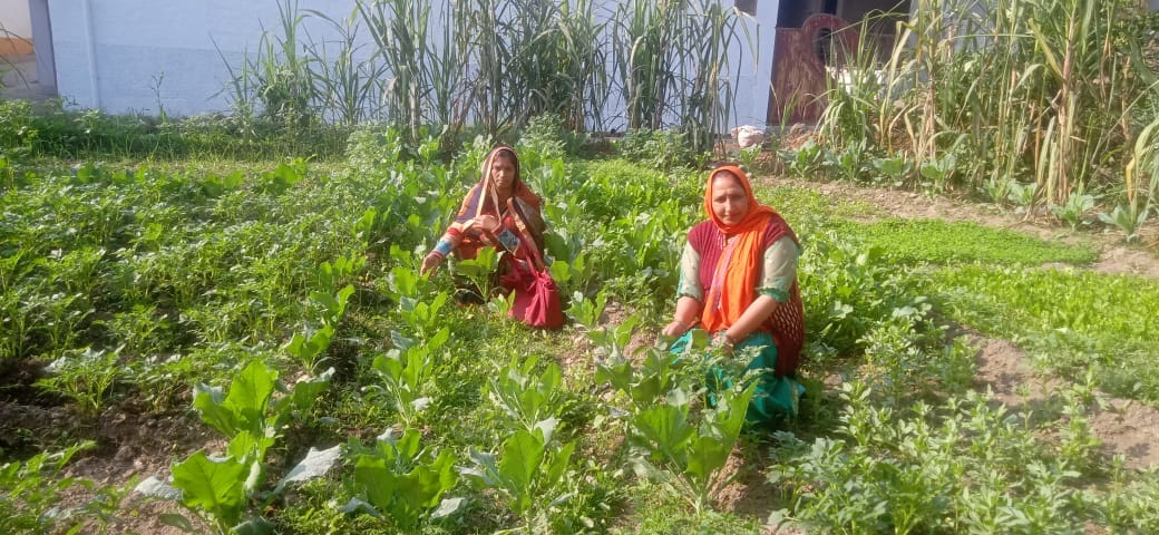 Nutrition garden will be built at 1237 Anganwadi centers in the district