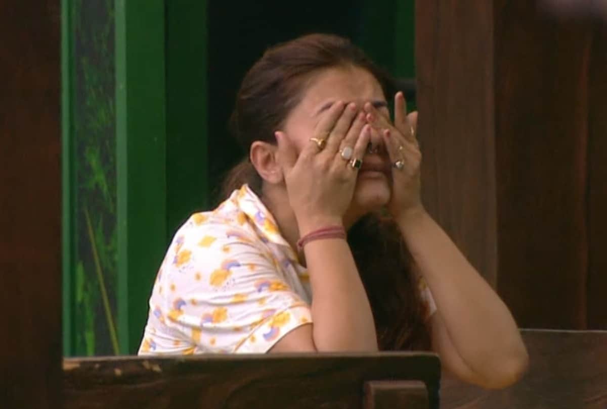 bigg boss 15 devoleena bhattacharjee break down in front of rakhi sawant husband ritesh says i wasted my seven beautiful years