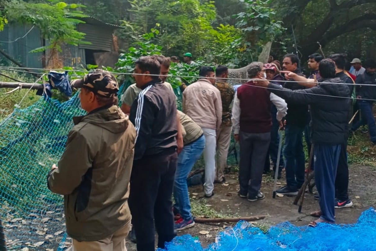 Indore: The story of the leopard's escape till the meeting... the eight-month-old cub blew everyone's senses ... after five days, the worry removed from the faces
