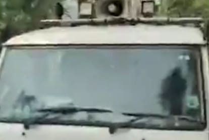 Indore: The story of the leopard's escape till the meeting... the eight-month-old cub blew everyone's senses ... after five days, the worry removed from the faces