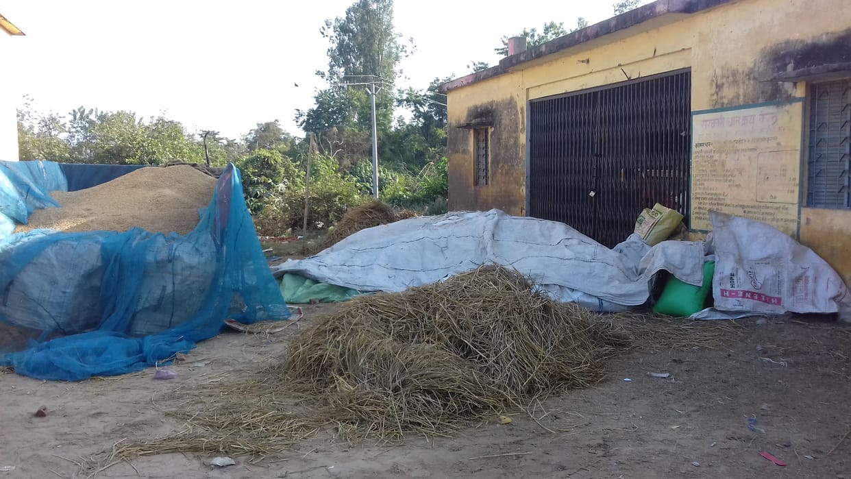 Weighing stopped for two days at Harewali paddy purchasing center