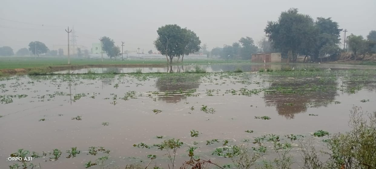 Crops submerged due to Garhsani minor overflow, farmers upset
