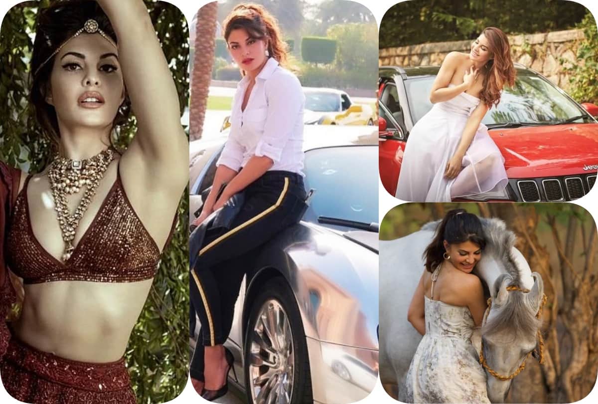 Jacqueline Fernandez Net Worth: Total Figure Will Shock You Sukesh Chandrasekhar 200 cr money laundering case