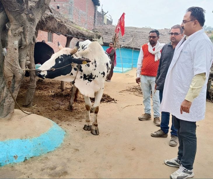 600 animals died within 15 days in simaria village