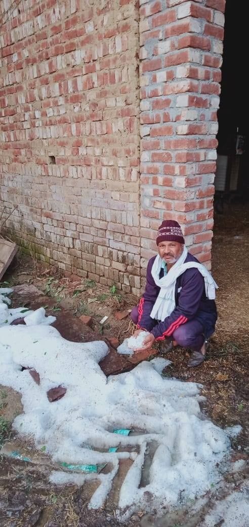 Patwari took stock of crops damaged by hailstorm, Yamunanagar
