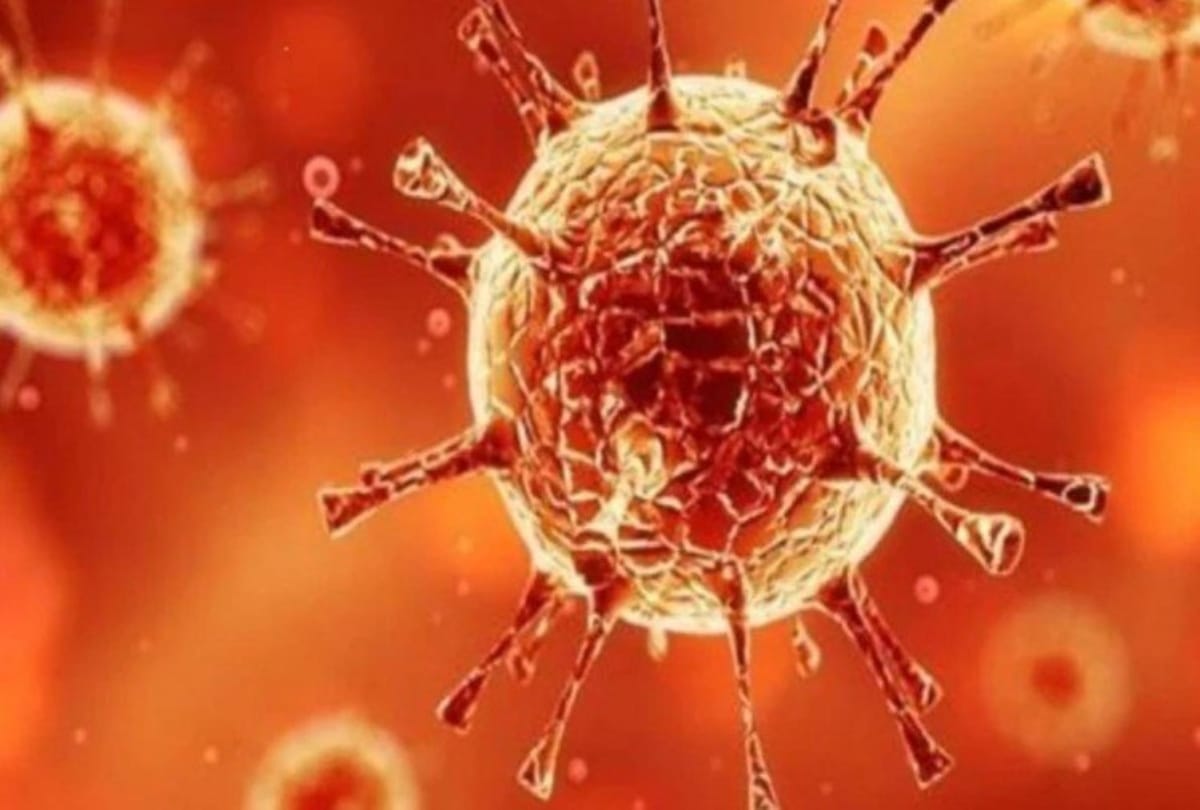 Omicron no more dangerous than Delta and Delta Plus know preventive measures