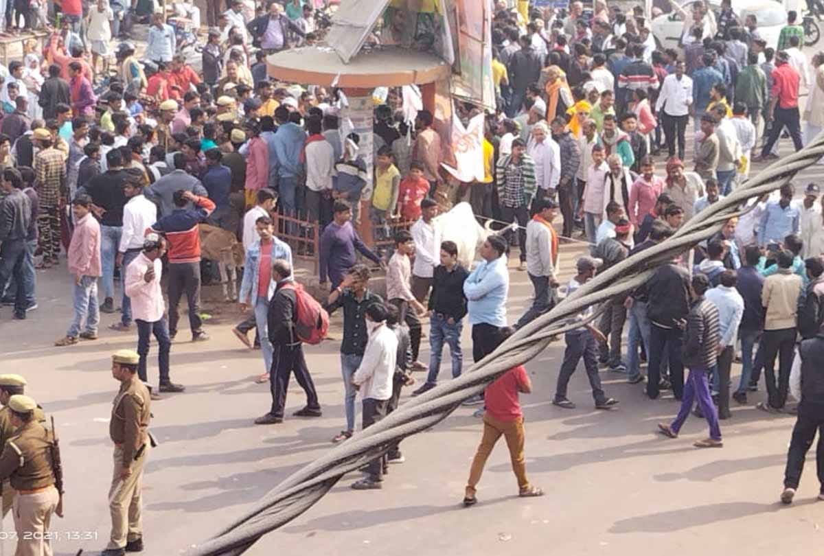 banda: Cows buried alive in soil and stones, BJP MLA protested and demanded action