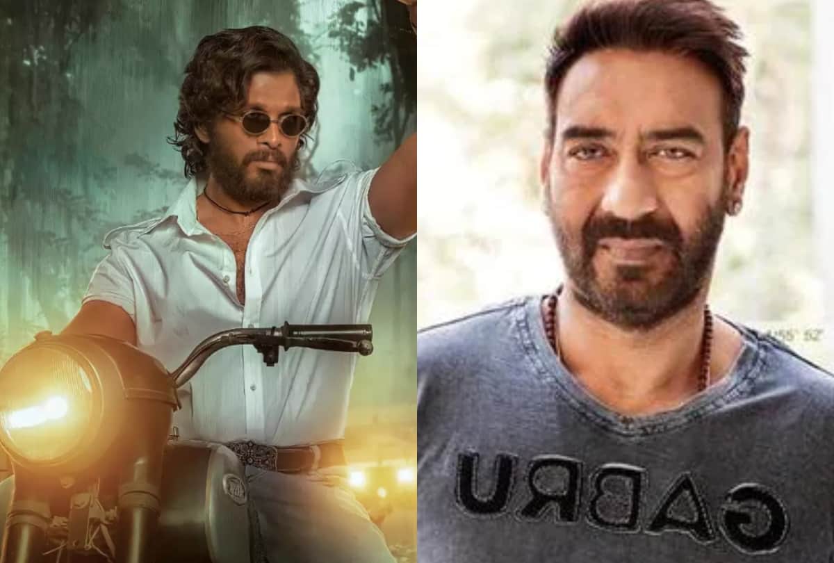 Hindi trailer of Allu Arjun film Pushpa the Rise released and Ajay Devgan shares