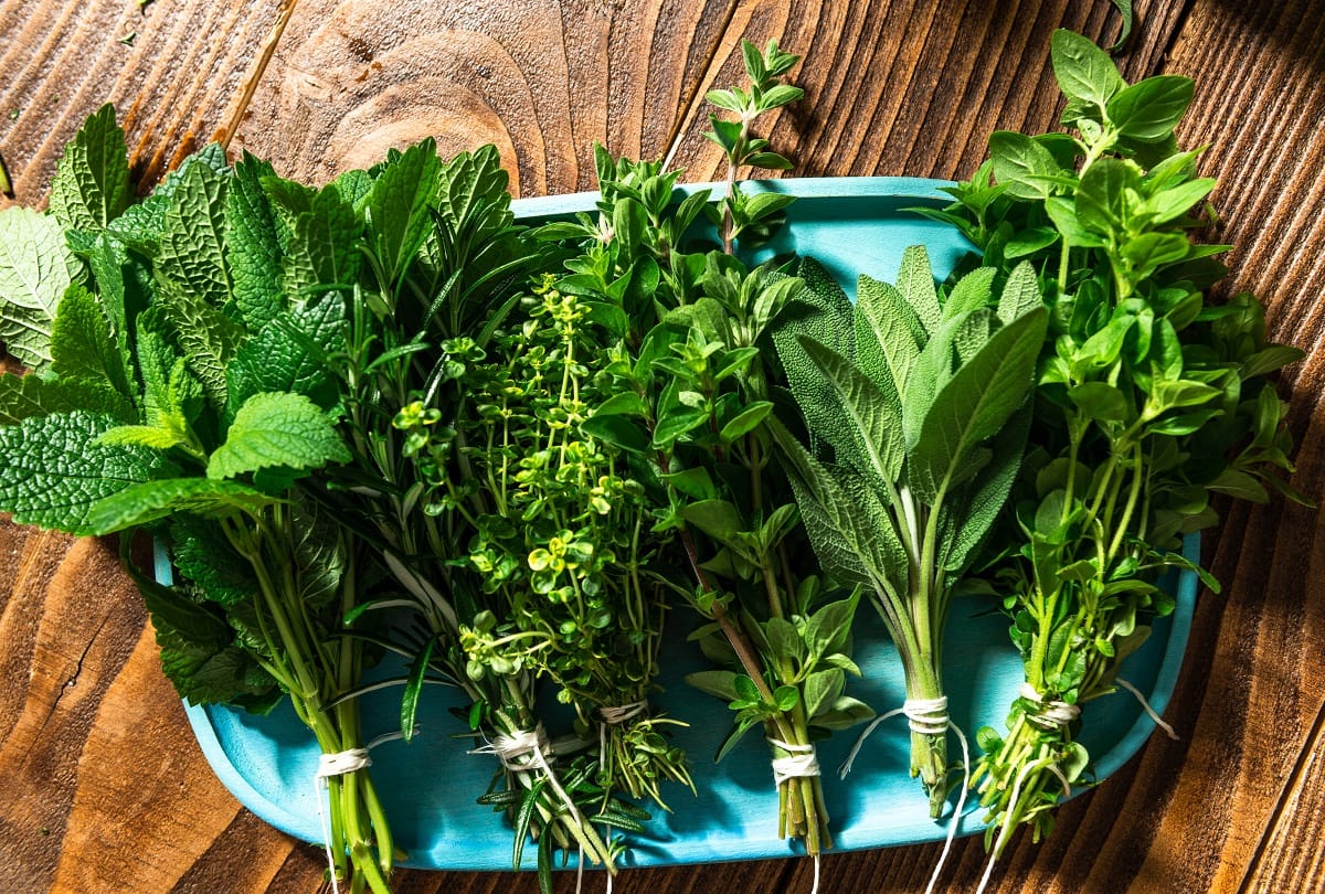 Tips To Clean Saag Bathua Sarson Methi Quick Cleaning And Chopping