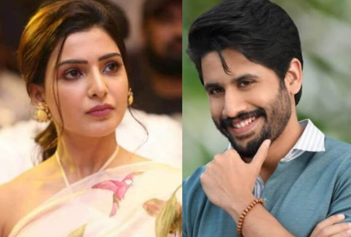 Filmy Wrap: Deepesh Bhan death vivek agnihotri advices  bollywood read 10 news from the entertainment world