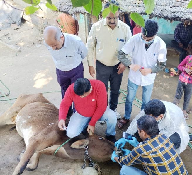 IVRI team took samples in five villages