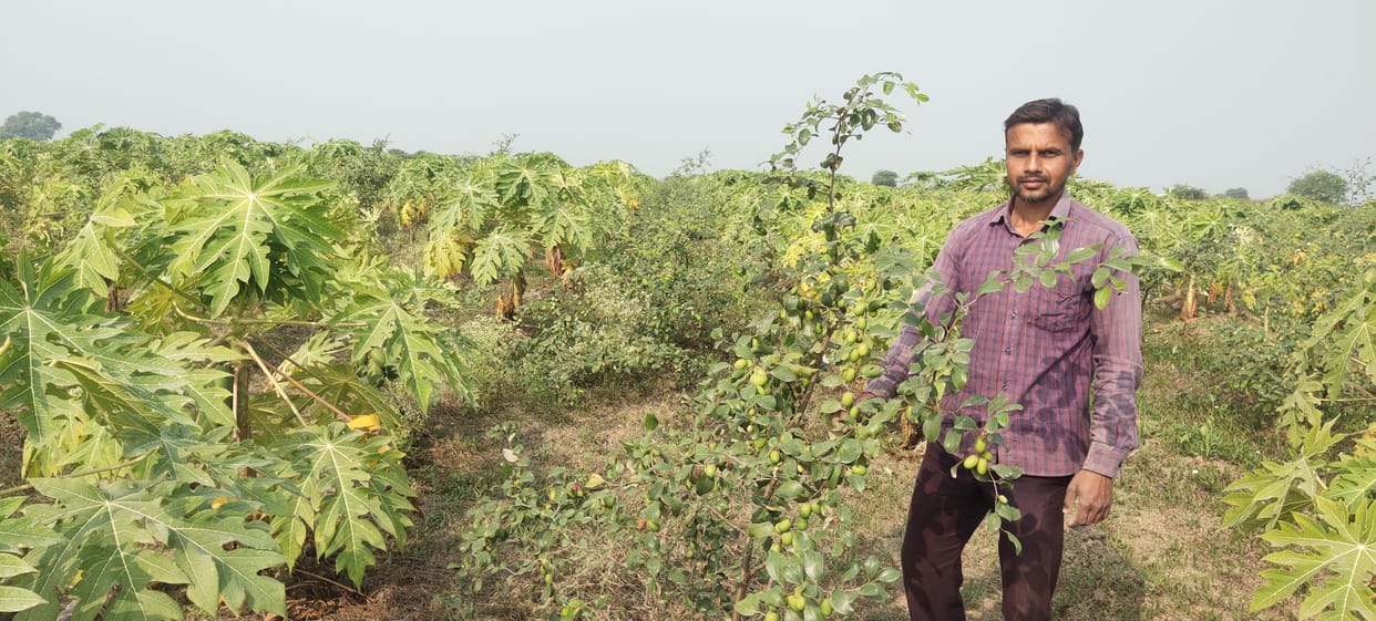 education,village,former,crops,man