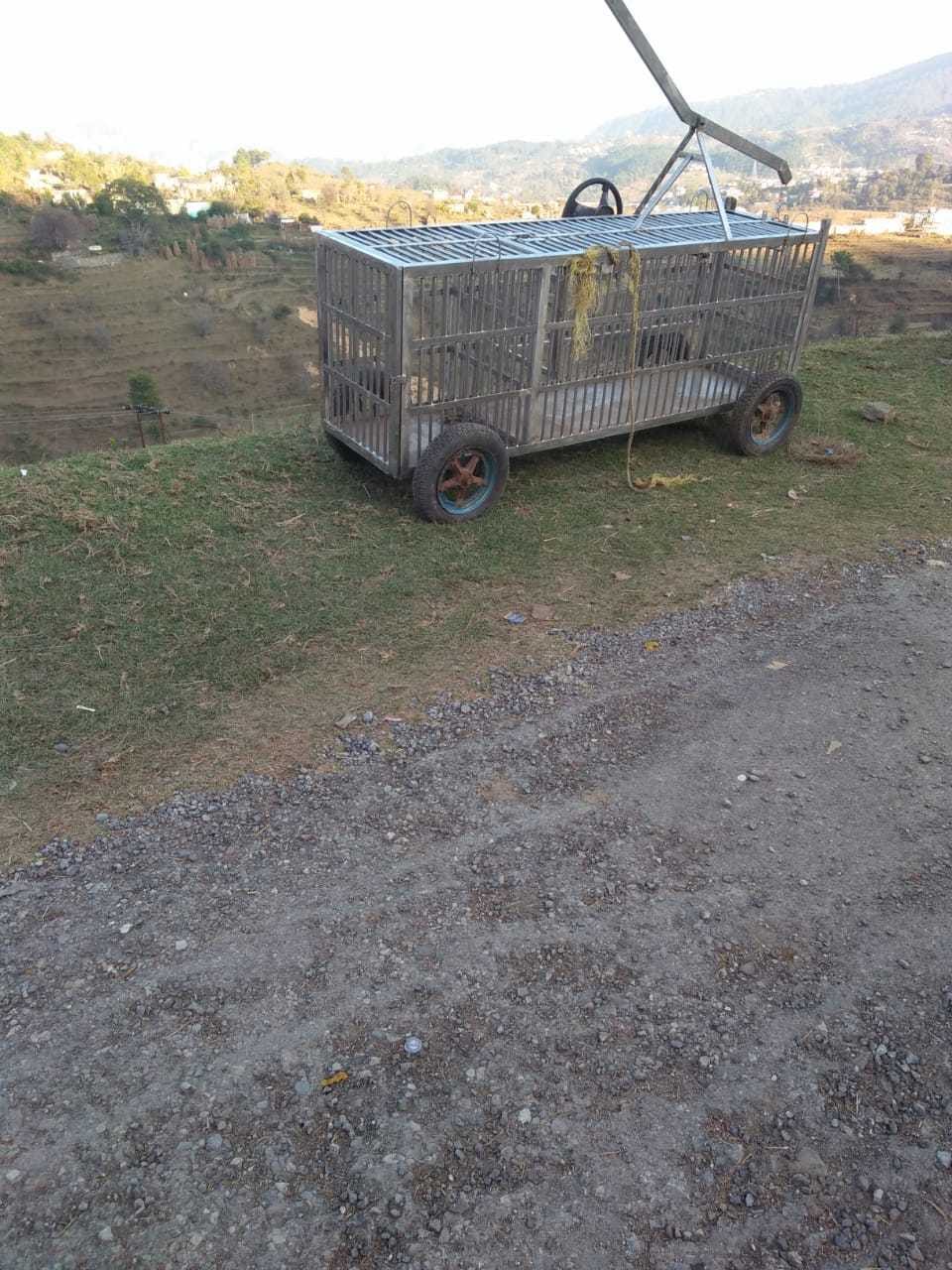 Not Caught Leopard in Dhakana Badola