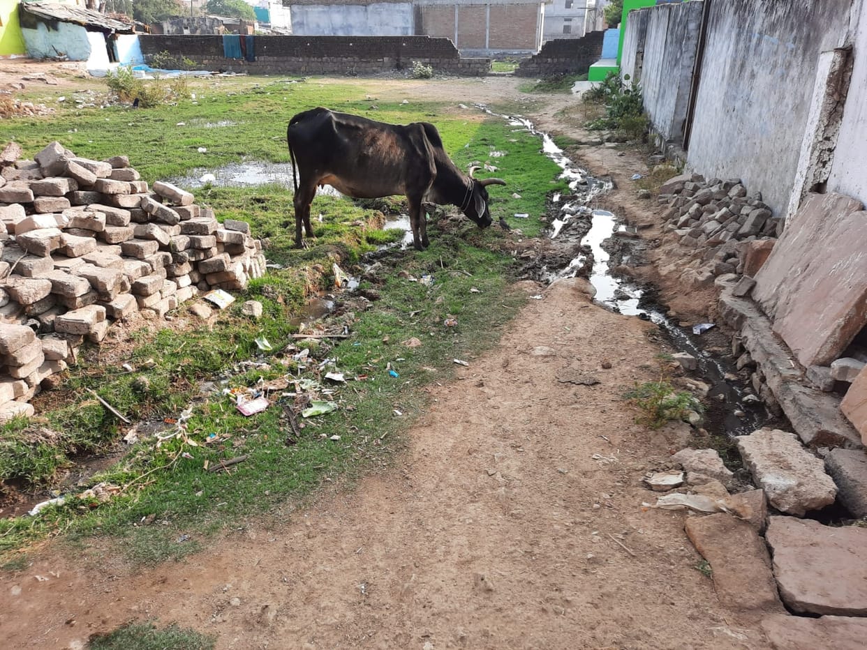 How will the city be good, the municipality president is unable to get the roads and drains of his own ward built