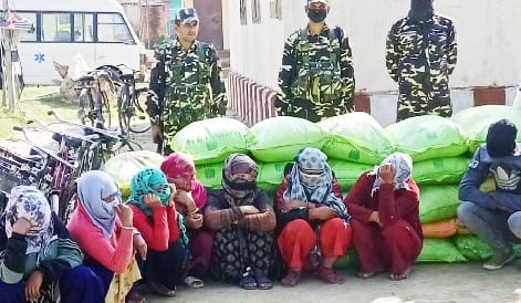 44 sacks of manure, tobacco recovered by SSB, carriers caught