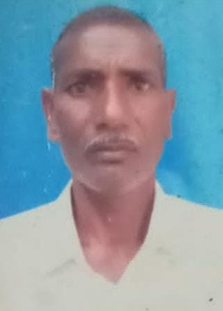 Elderly farmer injured by bee attack dies
