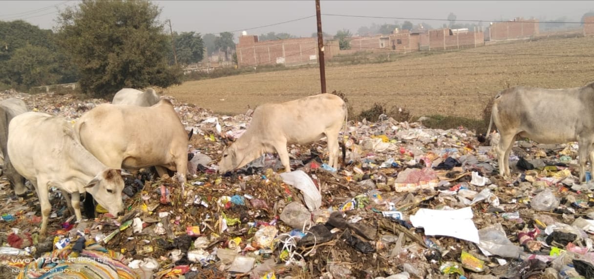 garbage in roade side
