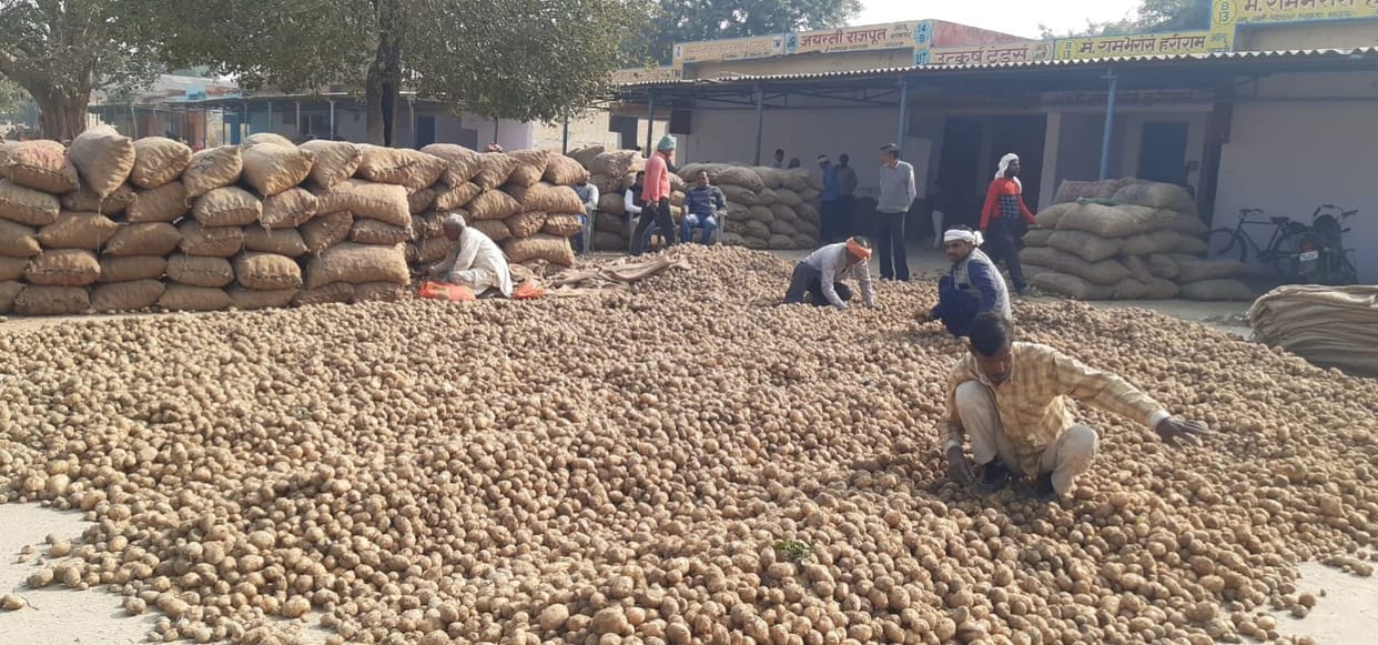 Potatoes are not getting even half the cost